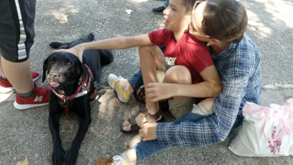 A black dog with a red collar lying on the ground between seated people.